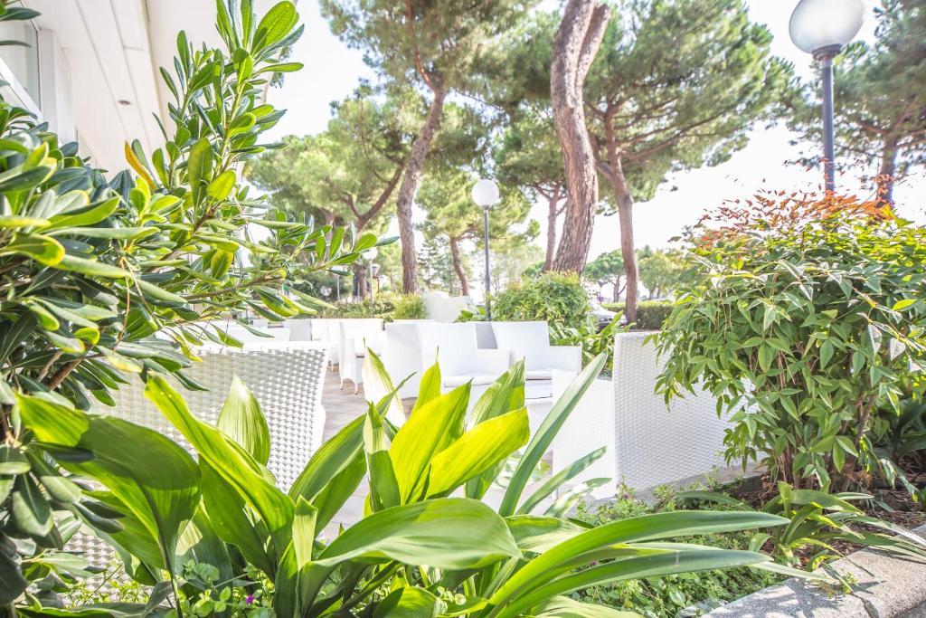 Ciccio Hotel Misano Adriatico Exterior photo